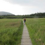 Trout River - Gros Morne NP (2)