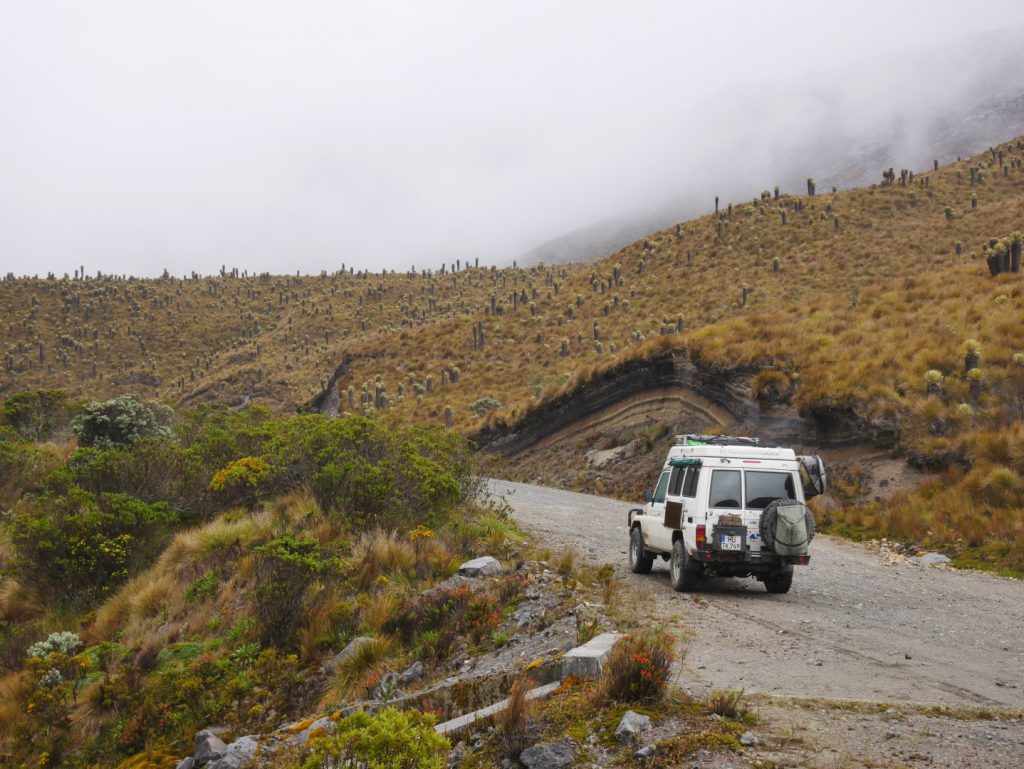 Zwischen Palmental und heißen Quellen im Los Nevados Nationalpark